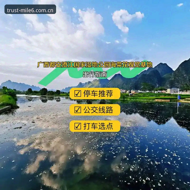 世界杯观赛签证困境背后，米乐m6平台如何助力球迷破解出行难题？