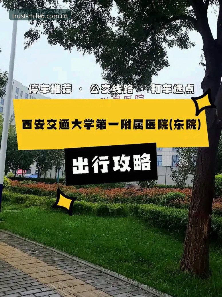 世界杯观赛签证困境背后，米乐m6平台如何助力球迷破解出行难题？